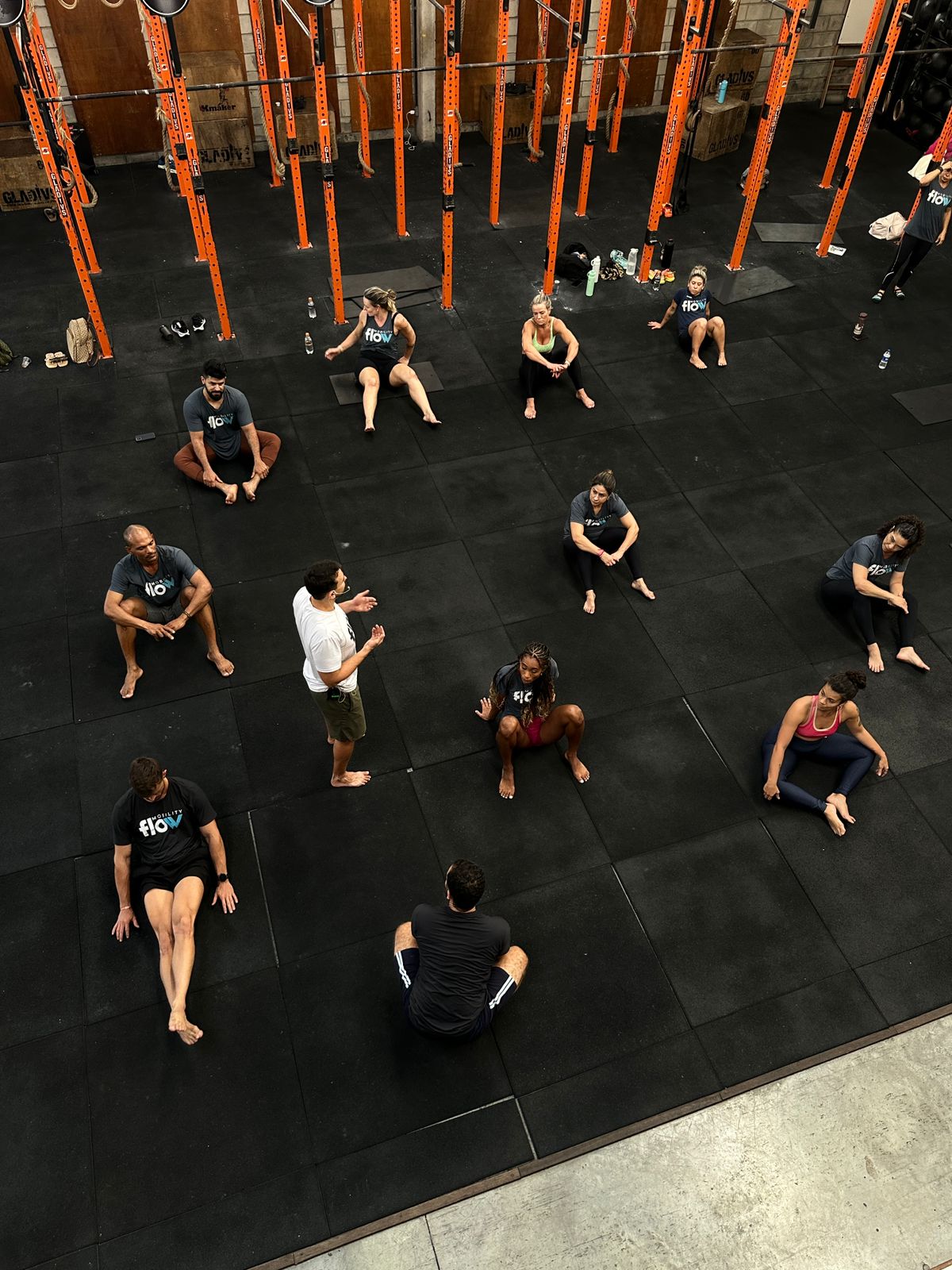 Mobility Flow Experience